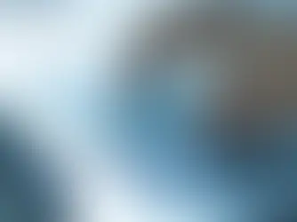 TOP 5 THINGS TO KNOW about PrimeroEdge State Solutions