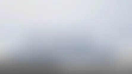 seeing 20/20 in 2020