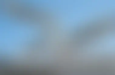 What Plan Are You Choosing?