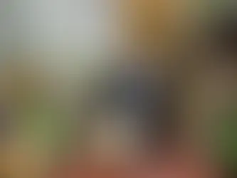 Food Distribution with PrimeroEdge