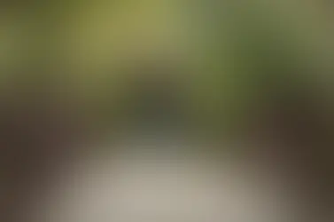 School Year in Review: Highlights from PrimeroEdge