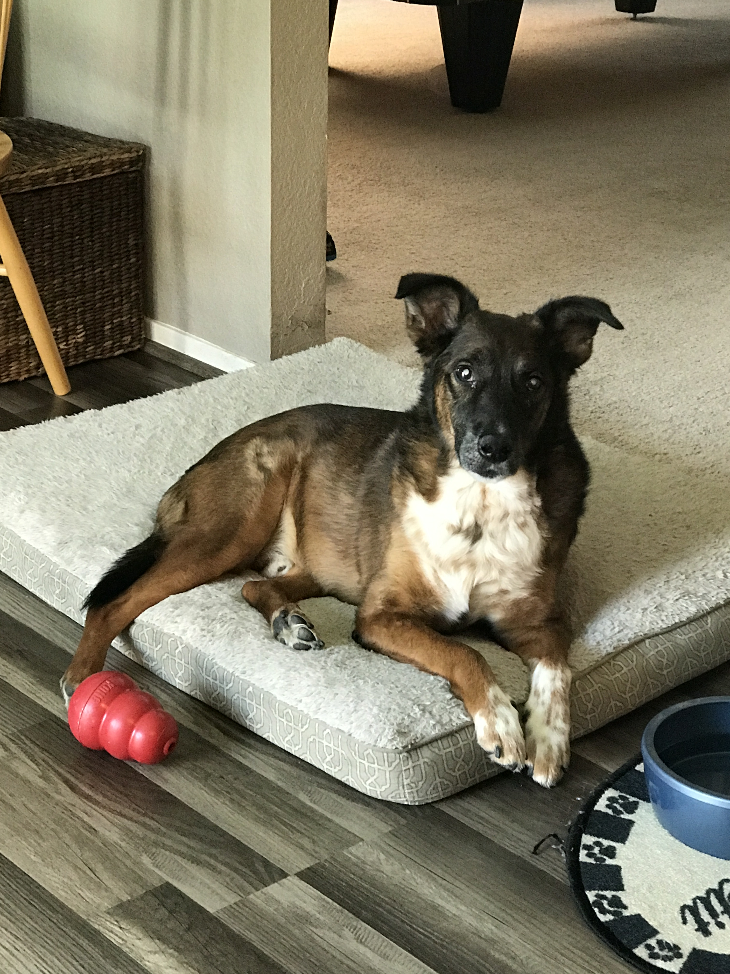 Max