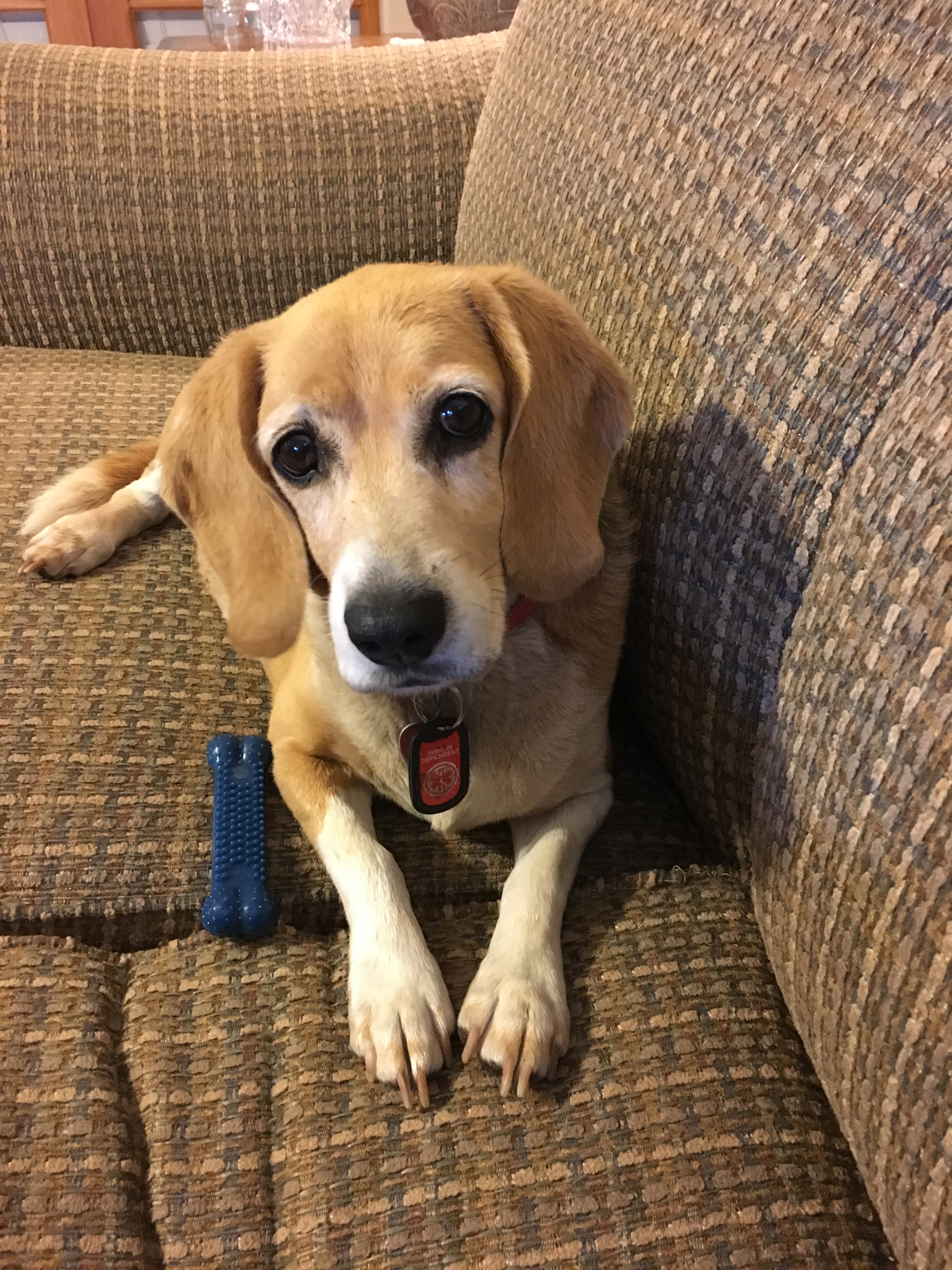 Sophia