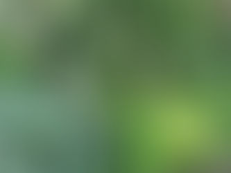 Hoe weet ik wat ik belangrijk vind voor mijn tuin?