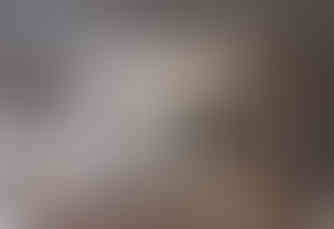 a living room with a couch and chairs and a fireplace