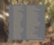 Instagram (August 6) 3pm.png