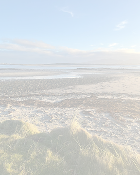 Untitled design (4).png
