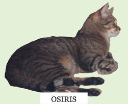 OSIRIS_edited