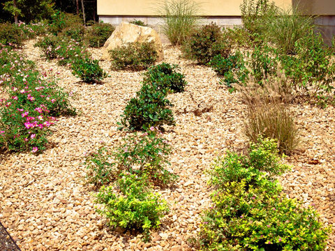 PlantingsMecklenburg County VA