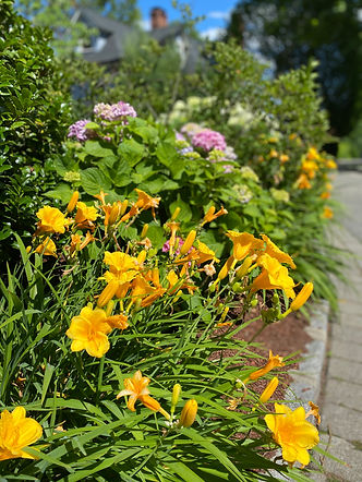 Seasonal annual & perennial displays in Pompton Plains, NJ