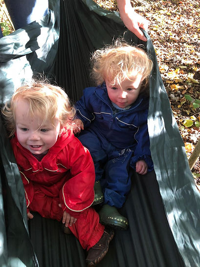 twin babies in a hammock