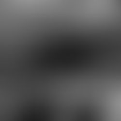 Stardust Fire - an Important Milestone Reached