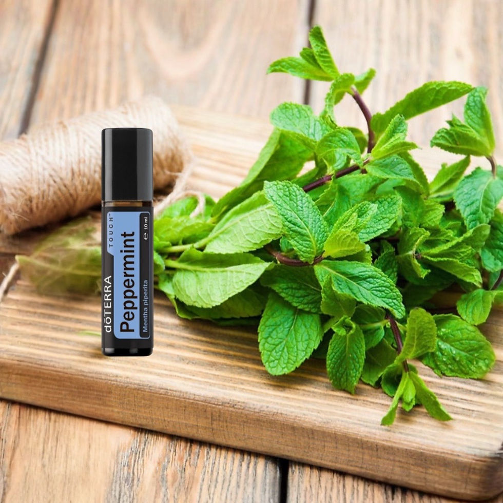 Miniaturbild: Peppermint Touch Roll-On auf Holzbrett mit frischer Minze.