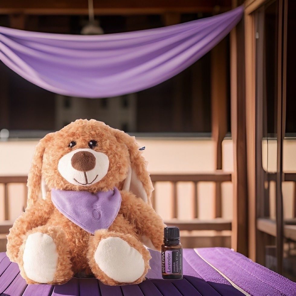 Miniaturbild: Plüschkaninchen mit Wärmekissen | Geschenke doTERRA