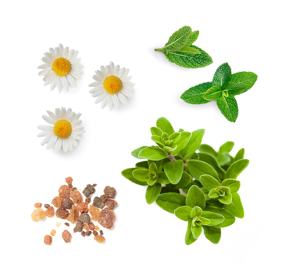 Miniaturbild: PastTense Roll-On von doTERRA – Beruhigende Mischung aus Pfefferminz, Lavendel und anderen ätherischen Ölen.