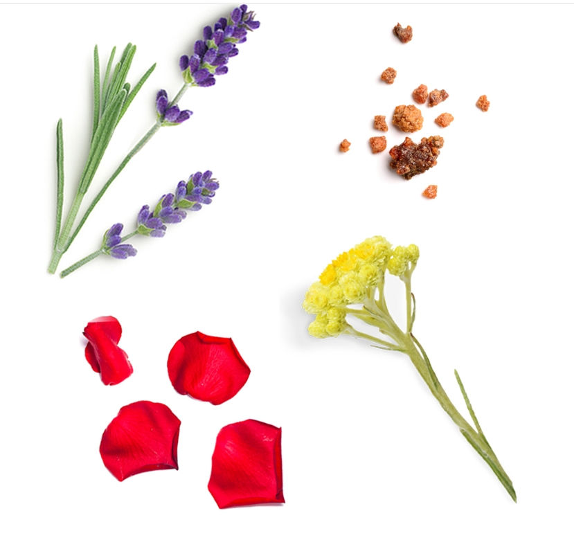 Miniaturbild: Luxusmischung mit ätherischen ölen – Salubelle 10 ml – doTERRA – Lis-STORE.CH