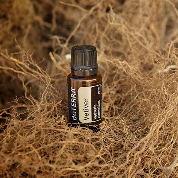 Miniaturbild: doTERRA Vetiver 15ml – reines ätherisches öl