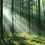 Miniaturbild: Waldlicht für Shinrin-Yoku doTERRA – Inspiration Waldbaden, Aromatherapie & Entspannung