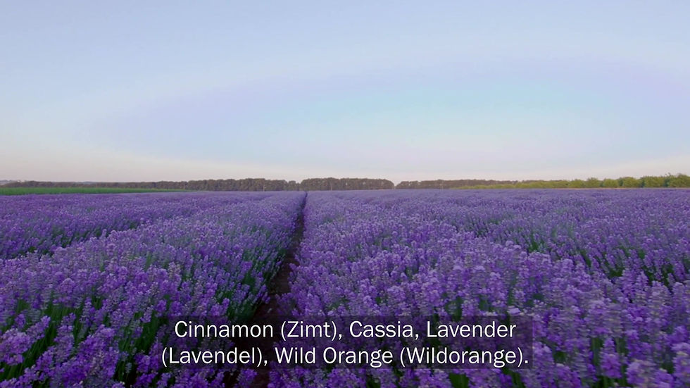 Miniaturbild: Neshama Touch |  Seelenvolle Mischung | doTERRA