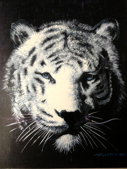 White tiger