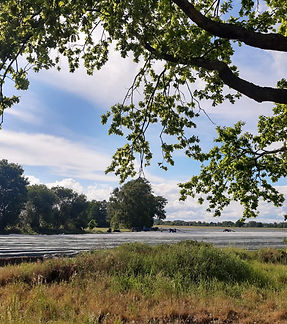 PHOTO-2025-05-28-20-00-42 2.jpg