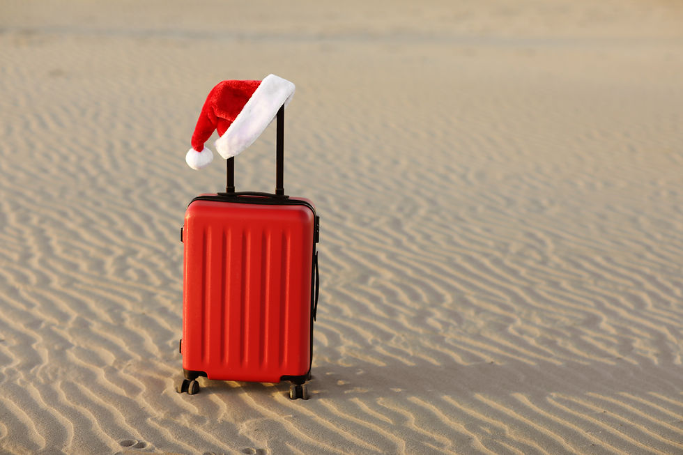red-suitcase-with-santa-claus-red-hat-on-handle-wi-2024-10-20-20-15-40-utc.JPG