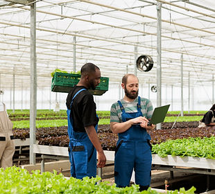 agricultor-de-estufa-segurando-laptop-falando-com-trabalhador-americano-africano-segurando