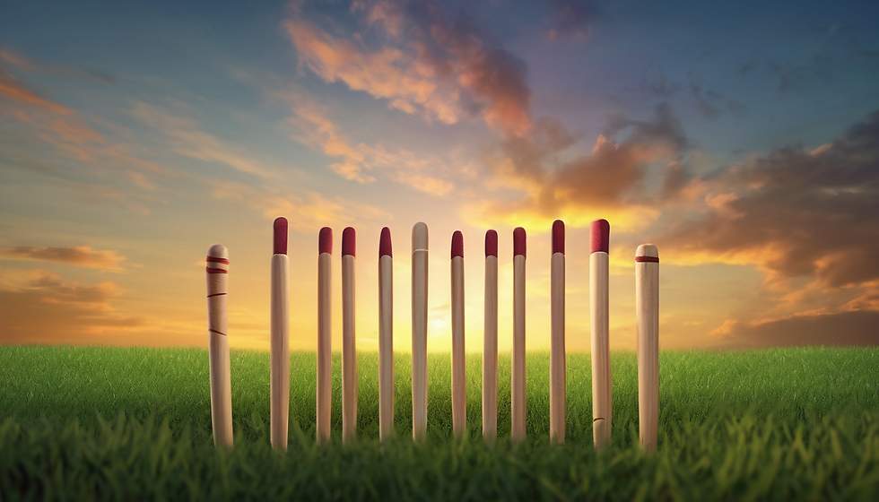 Adult Recreational Cricket Evening