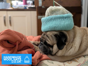 An Evening with the Pugs: A Tale of Wool, Nostalgia, and Handmade Love
