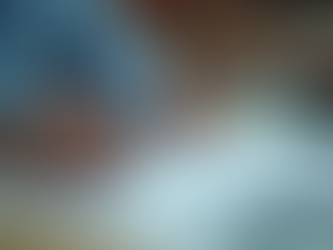 Understanding Customs Brokerage and Customs Clearance Brokers in the Philippines