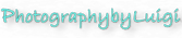 PhotographybyLuigi logo