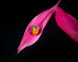 Ring on Pink Leaves product photography for e-commerce
