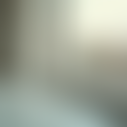 Top Timber Windows in Hastings: Enhance Your Home with Style and Durability