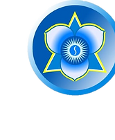 Image3.png