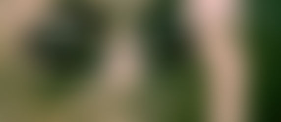 All Is Well That Ends...Well