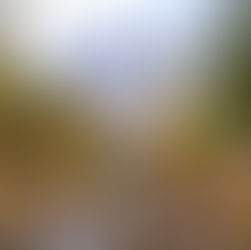 DOBITÍ ENERGIE V NÁRODNÍM PARKU GESÄUSE