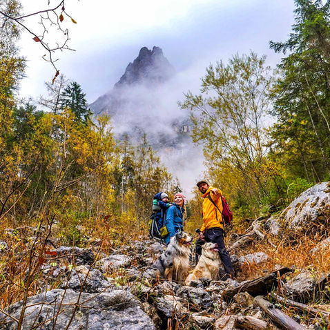 DOBITÍ ENERGIE V NÁRODNÍM PARKU GESÄUSE