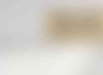 The original airstream panel.