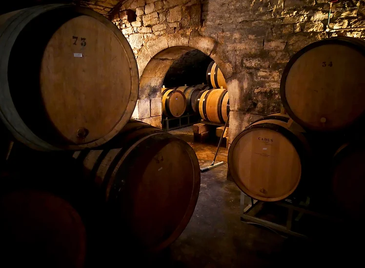 Cave d'Alice et d'Olivier De Moor.webp