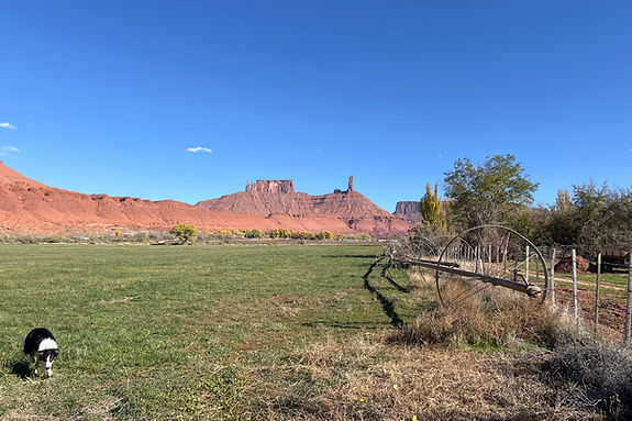 Castle Rock Ranch.jpg