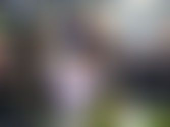 Relatable and Humorous Video Marketing