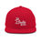 Thumbnail: Talk Birdie to Me Snapback