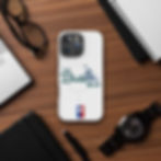 Thumbnail: Talk Birdie To Me Case