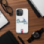 Thumbnail: Talk Birdie To Me Case