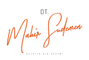 Mahir Südemen - Logo Turuncu - PNG.png