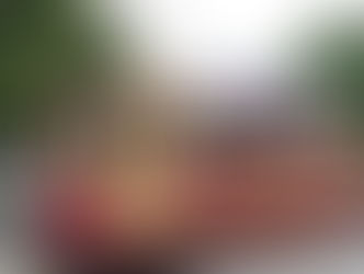 Christchurch NZ - This is What Heritage is All About