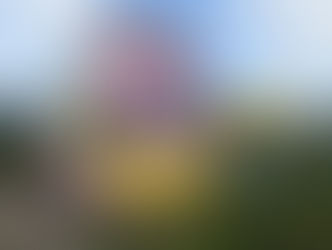 Balloon 710 / Cleveleys Shelter / Gazette Front Page