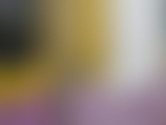 Honiton, Tiverton, Seaton and Fleetwood