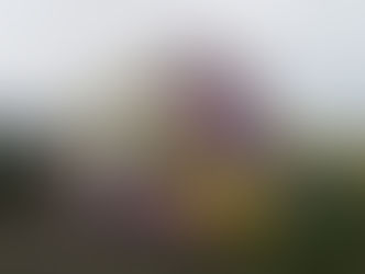 More on Balloon Car 710