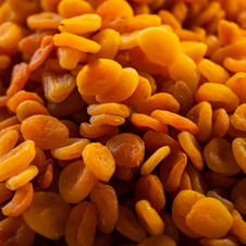 Premium Quality Apricots international broker - Agriprime 